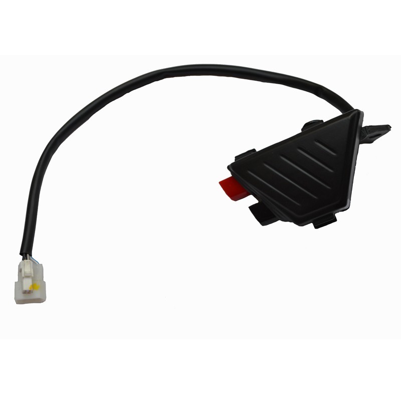 Switch assy complete Beta Evo 2012