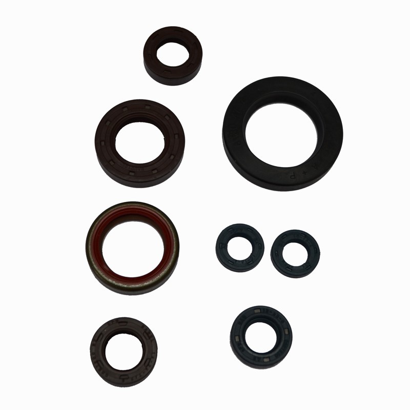 Jeu de bourrage moteur Beta Rev 4T