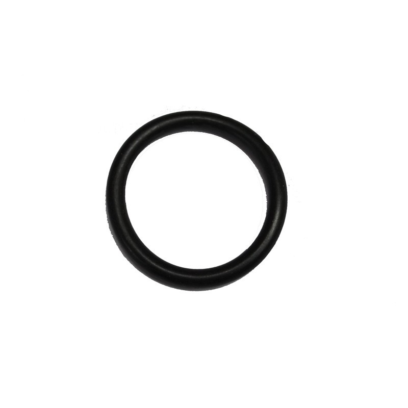 Oring 22.27.2.5 vyton Beta Evo