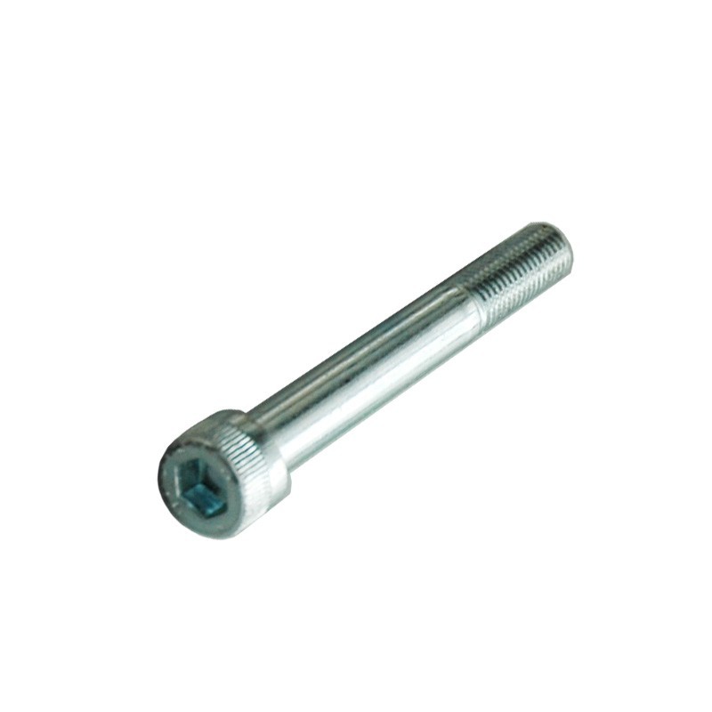Vis M10*85