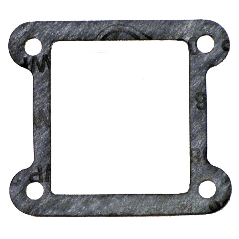 Gasket manifold reed valve