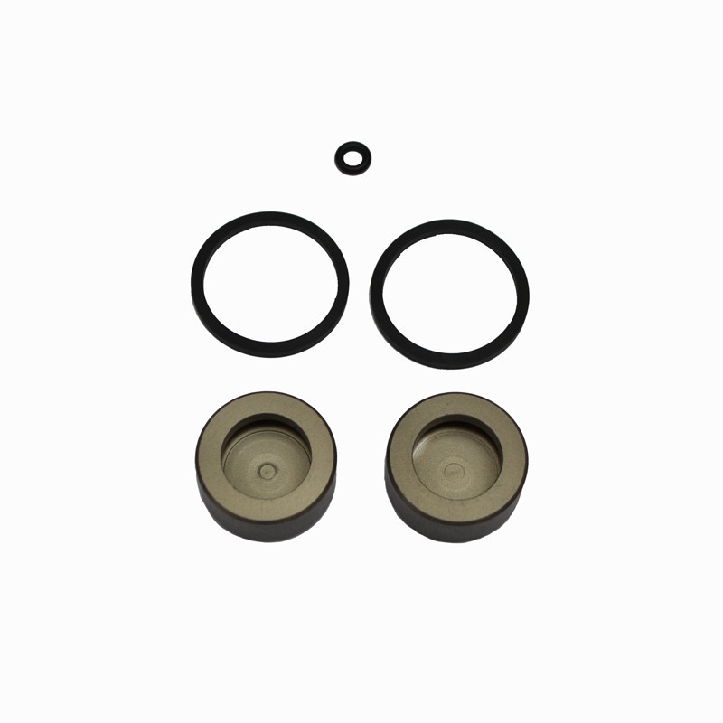 Rear caliper repair kit Beta Evo 09-12