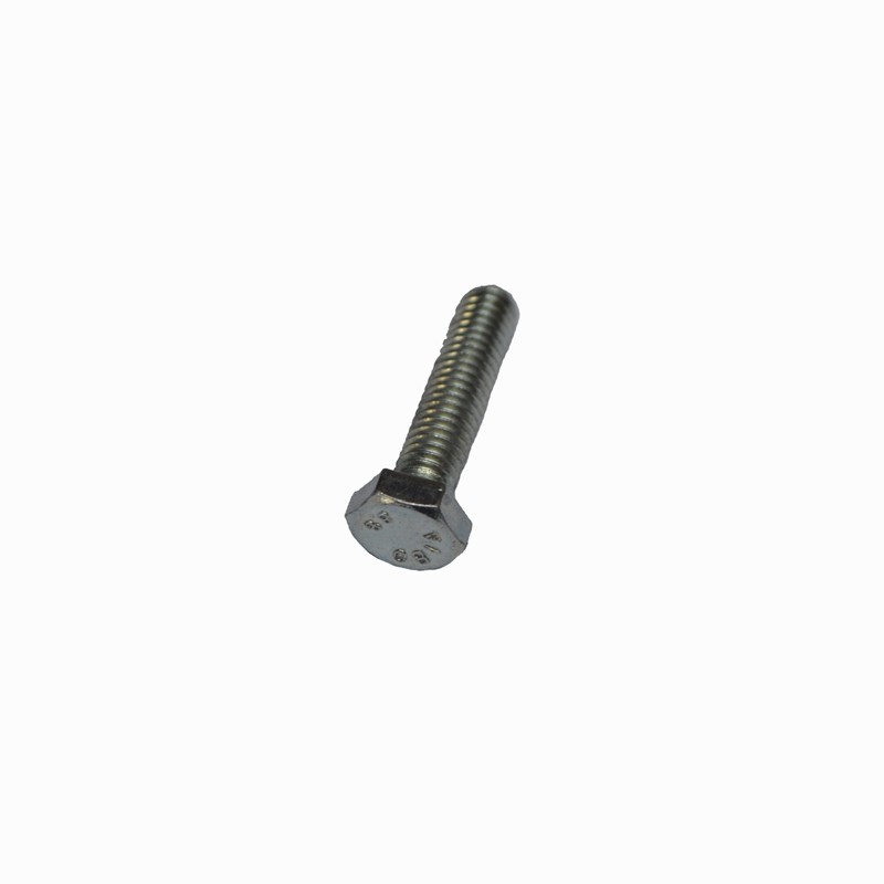 Front disk bolt Beta Evo