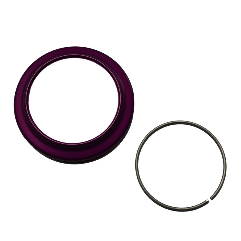 Top ring + clips for Reiger damper