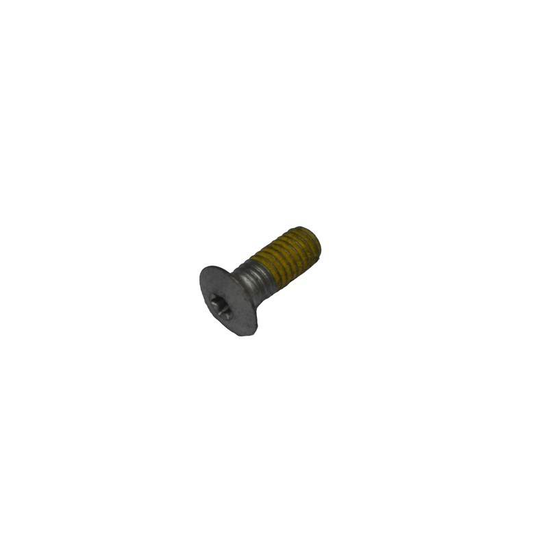 Rear brake disk bolt Ossa TR