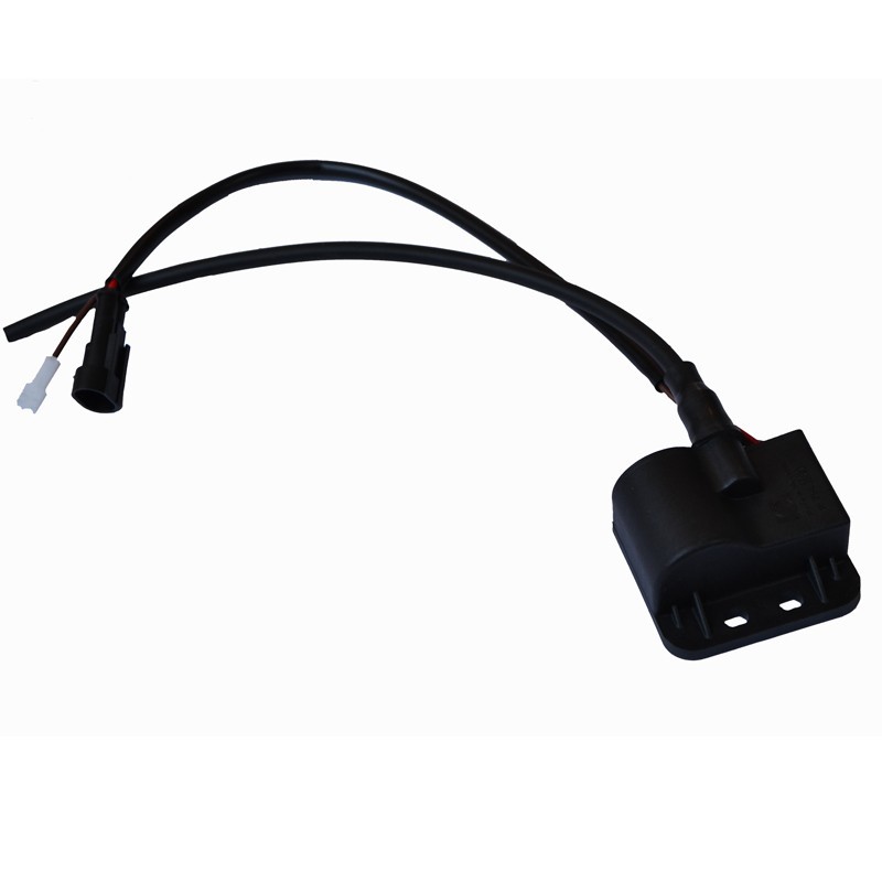 Bobine Beta Rev 80cc