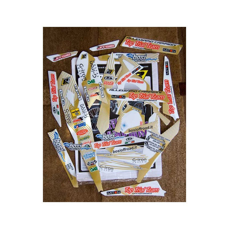 Beta Evo 10 TTT Replica race stickers