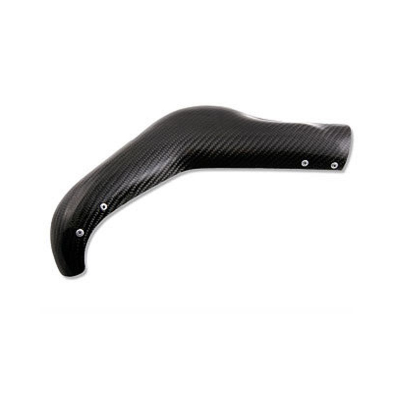 Beta Evo exhaust protector